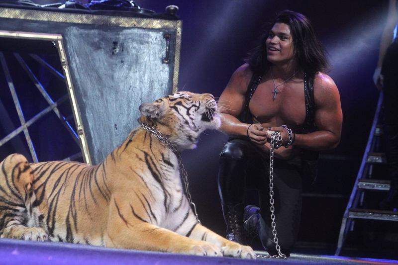 В Одессе прошел Международный фестиваль циркового искусства Золотой трюк Кобзова